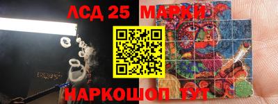 ПСИЛОЦИБИНОВЫЕ ГРИБЫ Кулебаки