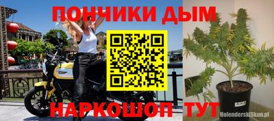 прущие грибы Кунгур