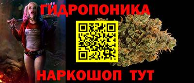 ПСИЛОЦИБИНОВЫЕ ГРИБЫ Кулебаки